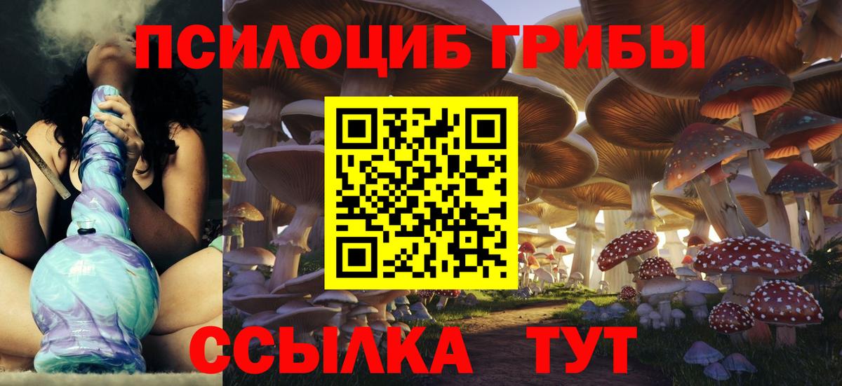 Псилоцибиновые грибы GOLDEN TEACHER Усолье-Сибирское