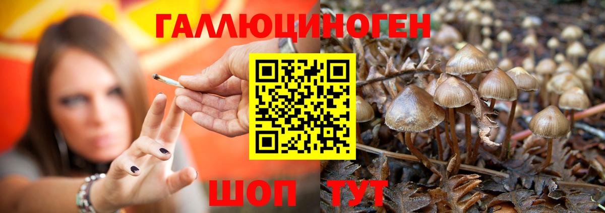 Усолье-Сибирское  Псилоцибиновые грибы Magic Shrooms  Вход с VPN 